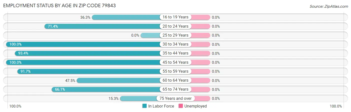 Employment Status by Age in Zip Code 79843