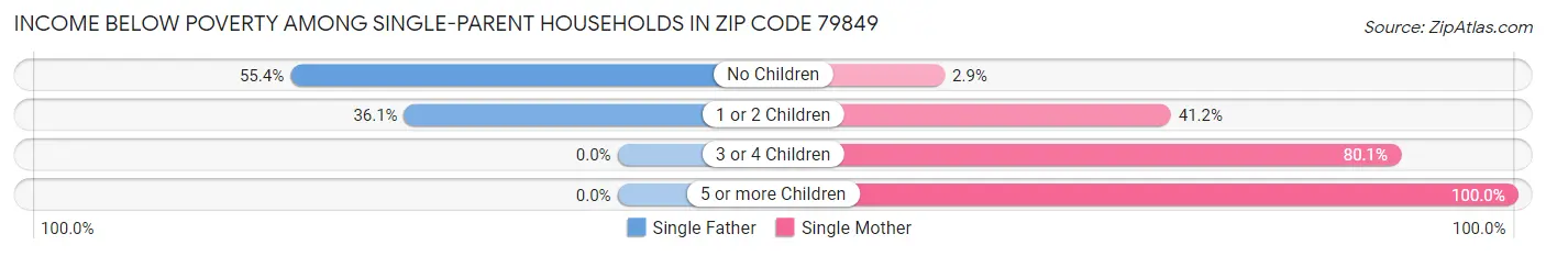 Income Below Poverty Among Single-Parent Households in Zip Code 79849