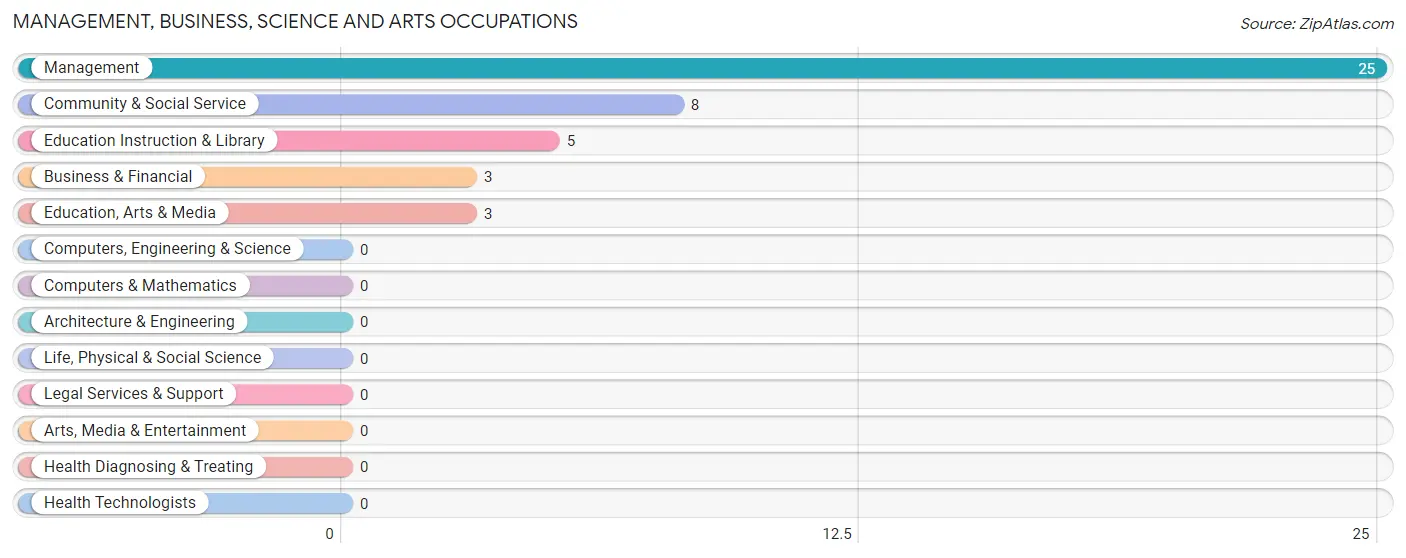 Management, Business, Science and Arts Occupations in Zip Code 79851