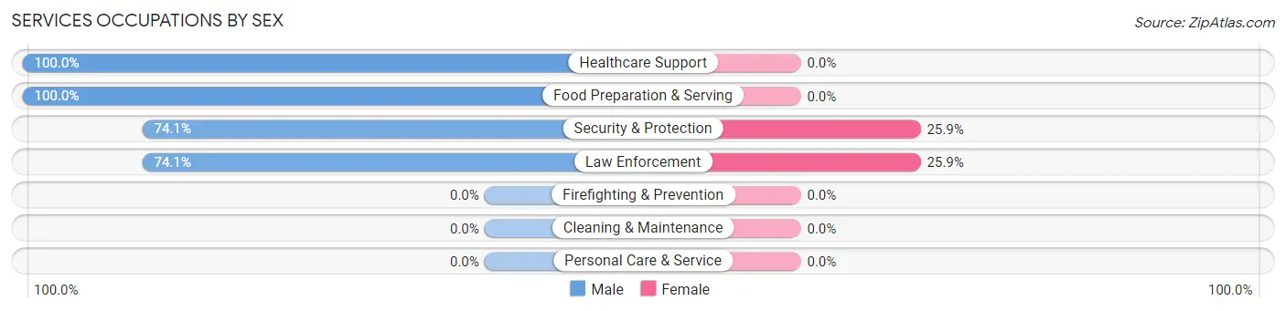 Services Occupations by Sex in Zip Code 79851