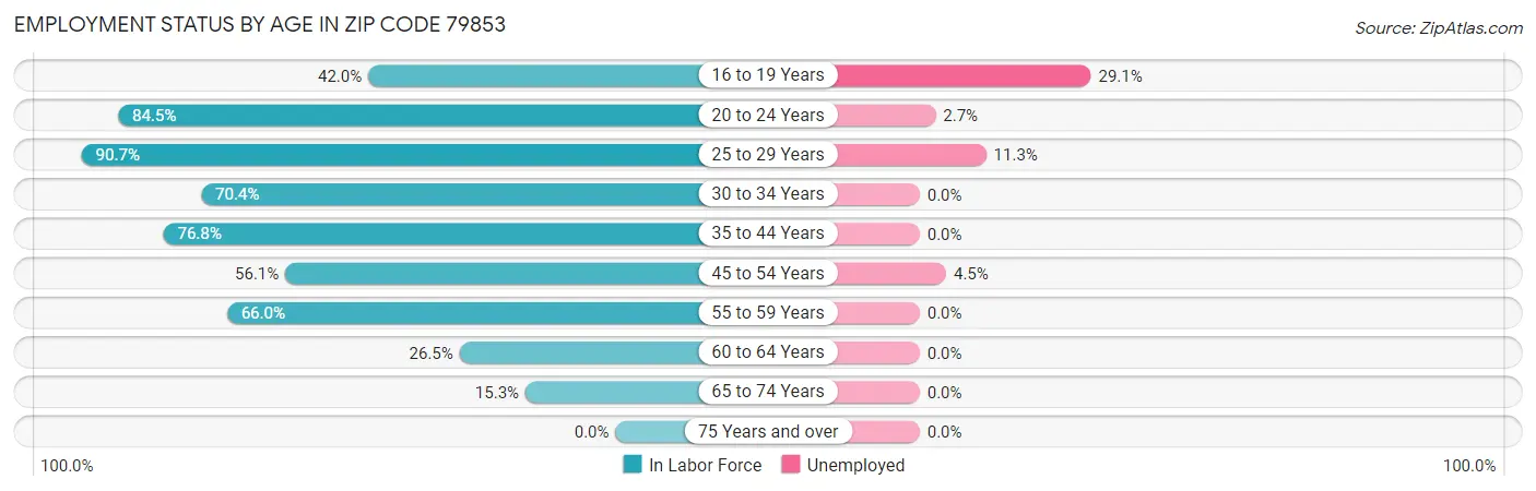 Employment Status by Age in Zip Code 79853