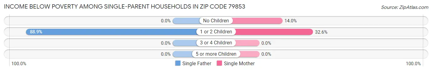 Income Below Poverty Among Single-Parent Households in Zip Code 79853