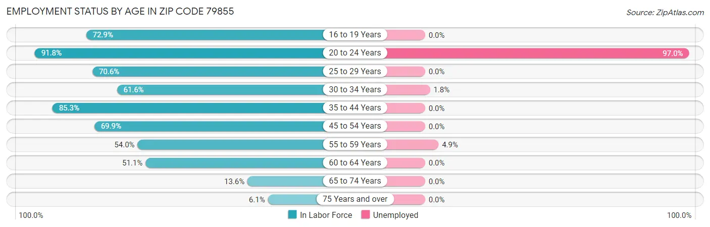 Employment Status by Age in Zip Code 79855