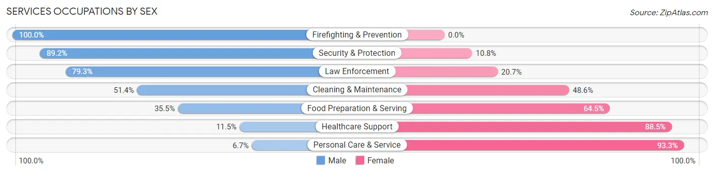 Services Occupations by Sex in Zip Code 80003