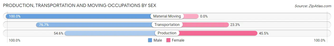 Production, Transportation and Moving Occupations by Sex in Zip Code 80007