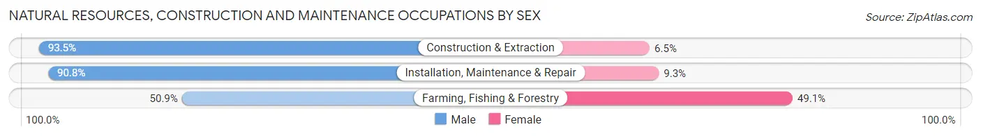 Natural Resources, Construction and Maintenance Occupations by Sex in Zip Code 80011