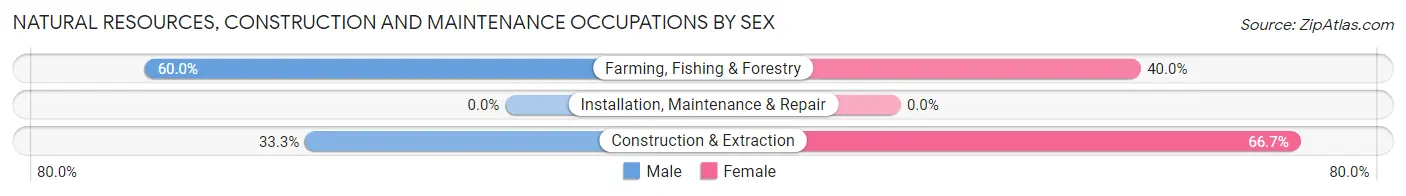 Natural Resources, Construction and Maintenance Occupations by Sex in Zip Code 80101