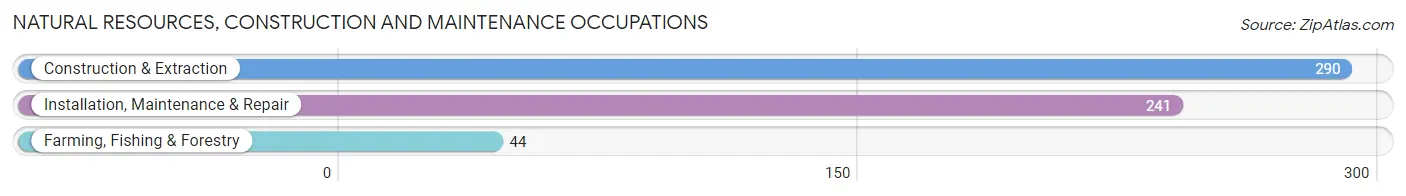 Natural Resources, Construction and Maintenance Occupations in Zip Code 80102