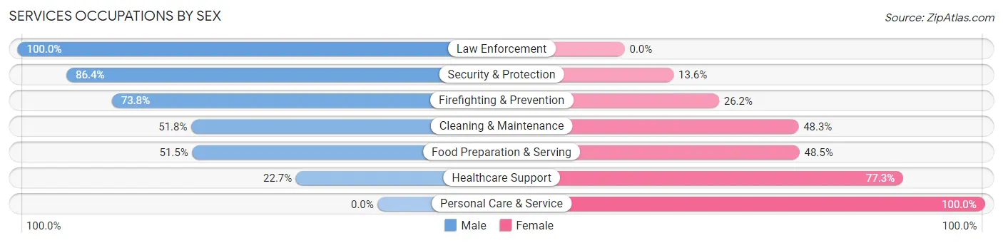 Services Occupations by Sex in Zip Code 80102