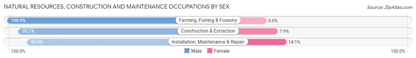 Natural Resources, Construction and Maintenance Occupations by Sex in Zip Code 80126