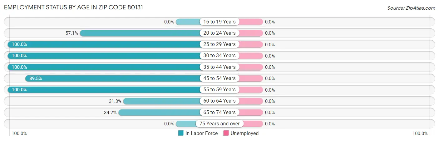 Employment Status by Age in Zip Code 80131