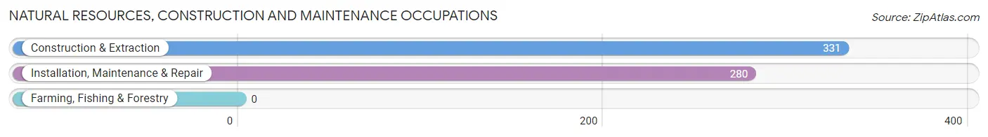 Natural Resources, Construction and Maintenance Occupations in Zip Code 80132