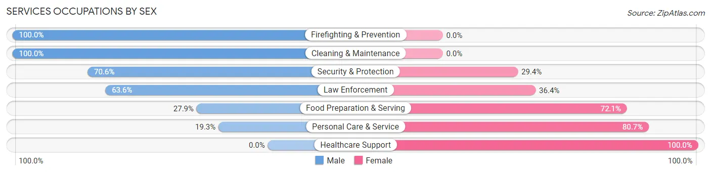 Services Occupations by Sex in Zip Code 80136