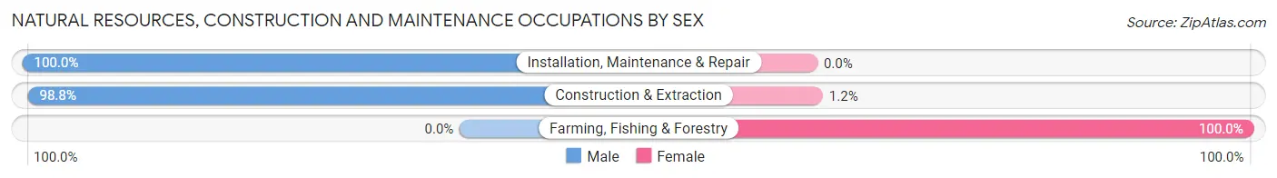 Natural Resources, Construction and Maintenance Occupations by Sex in Zip Code 80202