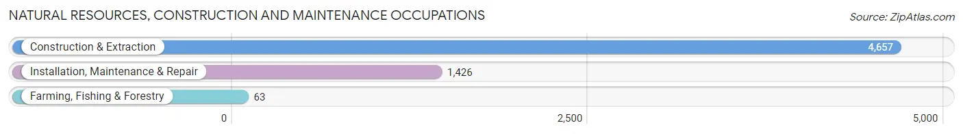 Natural Resources, Construction and Maintenance Occupations in Zip Code 80219