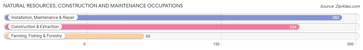 Natural Resources, Construction and Maintenance Occupations in Zip Code 80237