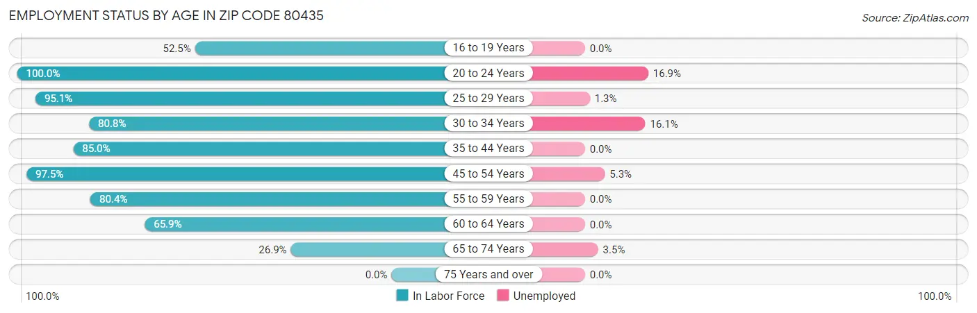 Employment Status by Age in Zip Code 80435