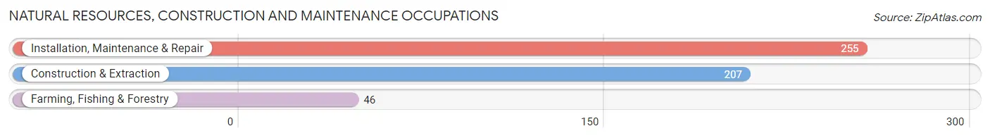 Natural Resources, Construction and Maintenance Occupations in Zip Code 80439