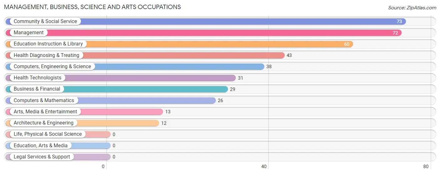 Management, Business, Science and Arts Occupations in Zip Code 80444