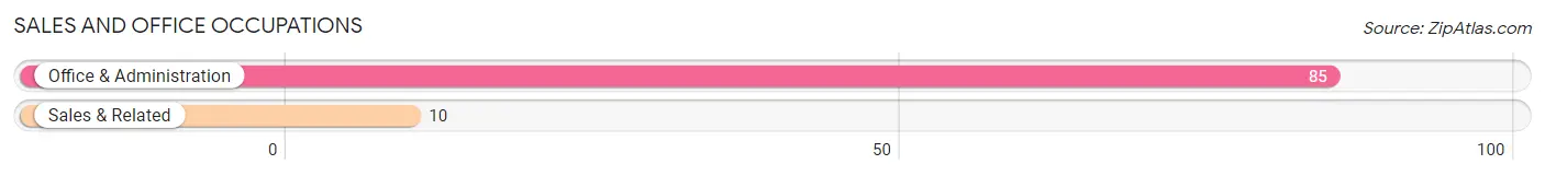 Sales and Office Occupations in Zip Code 80451