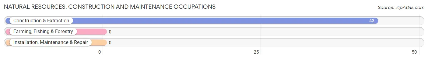 Natural Resources, Construction and Maintenance Occupations in Zip Code 80482