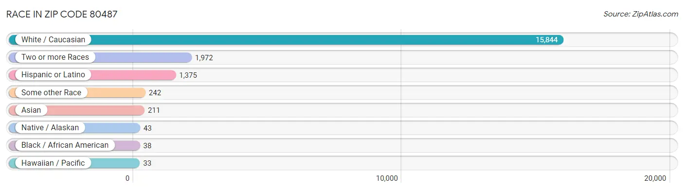 Race in Zip Code 80487
