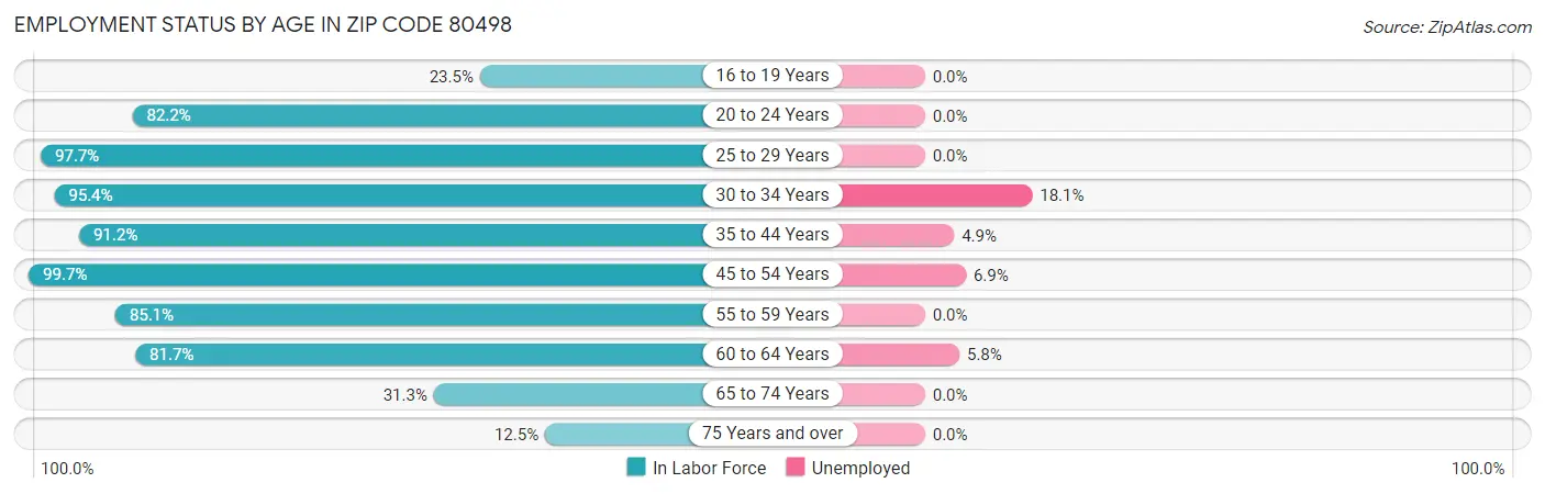 Employment Status by Age in Zip Code 80498