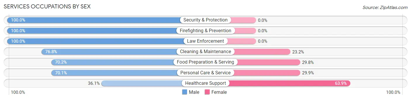 Services Occupations by Sex in Zip Code 80498