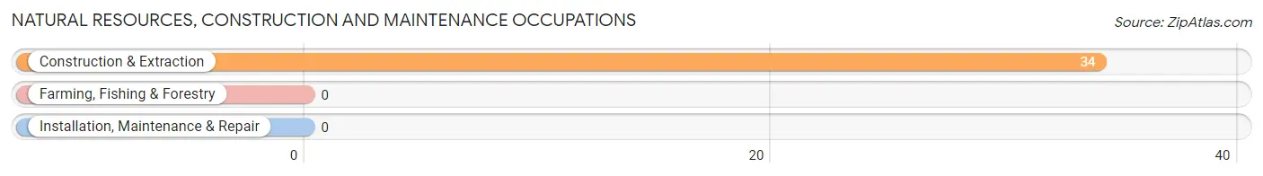 Natural Resources, Construction and Maintenance Occupations in Zip Code 80510