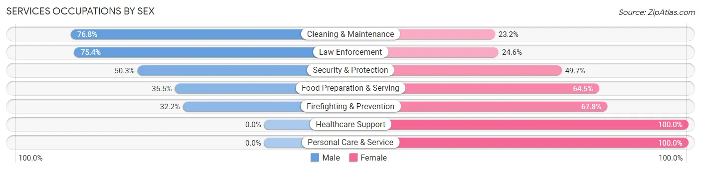 Services Occupations by Sex in Zip Code 80513