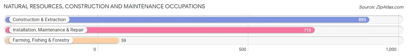 Natural Resources, Construction and Maintenance Occupations in Zip Code 80526