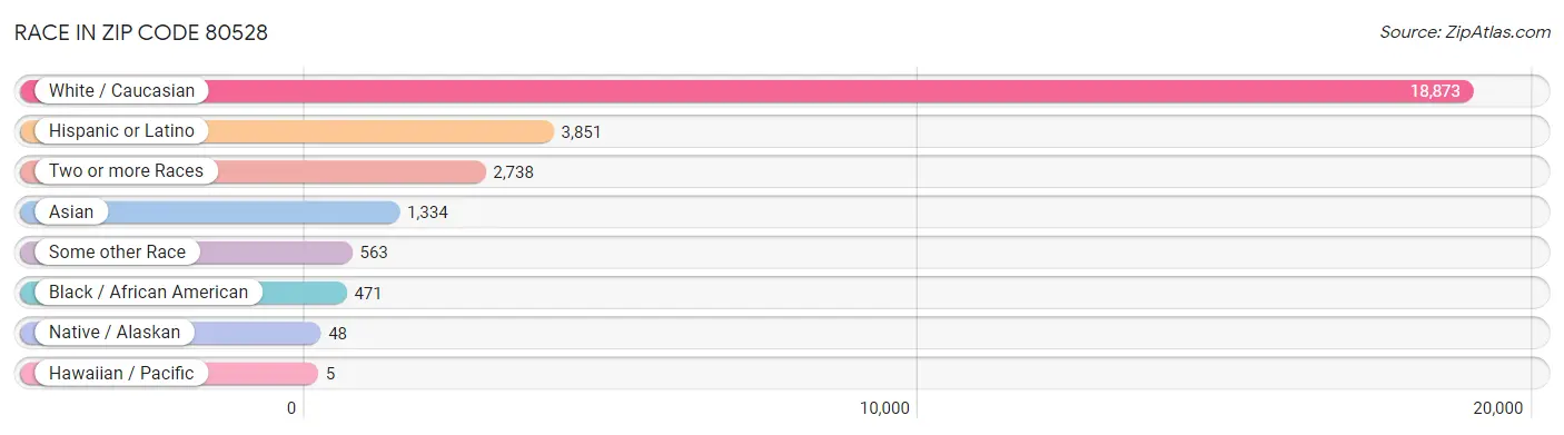 Race in Zip Code 80528