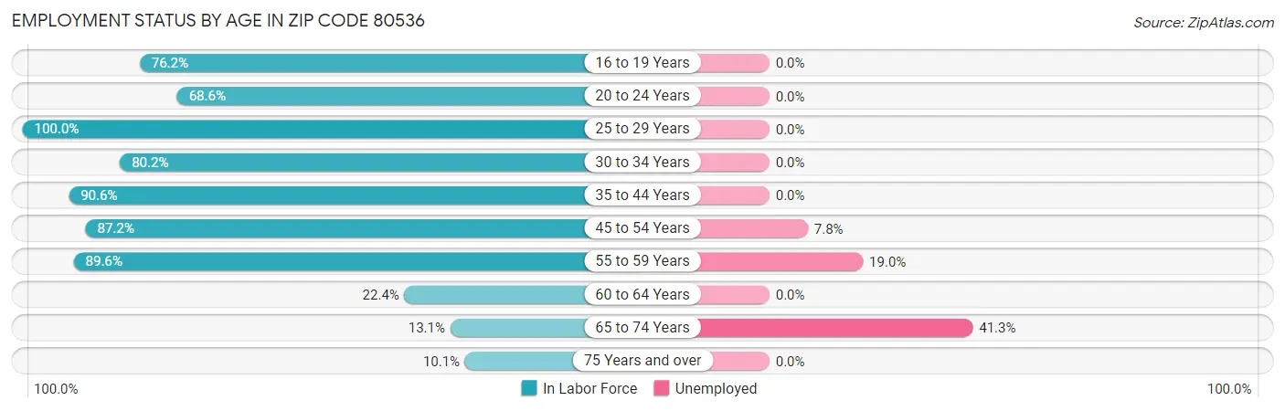 Employment Status by Age in Zip Code 80536