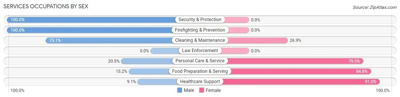 Services Occupations by Sex in Zip Code 80543