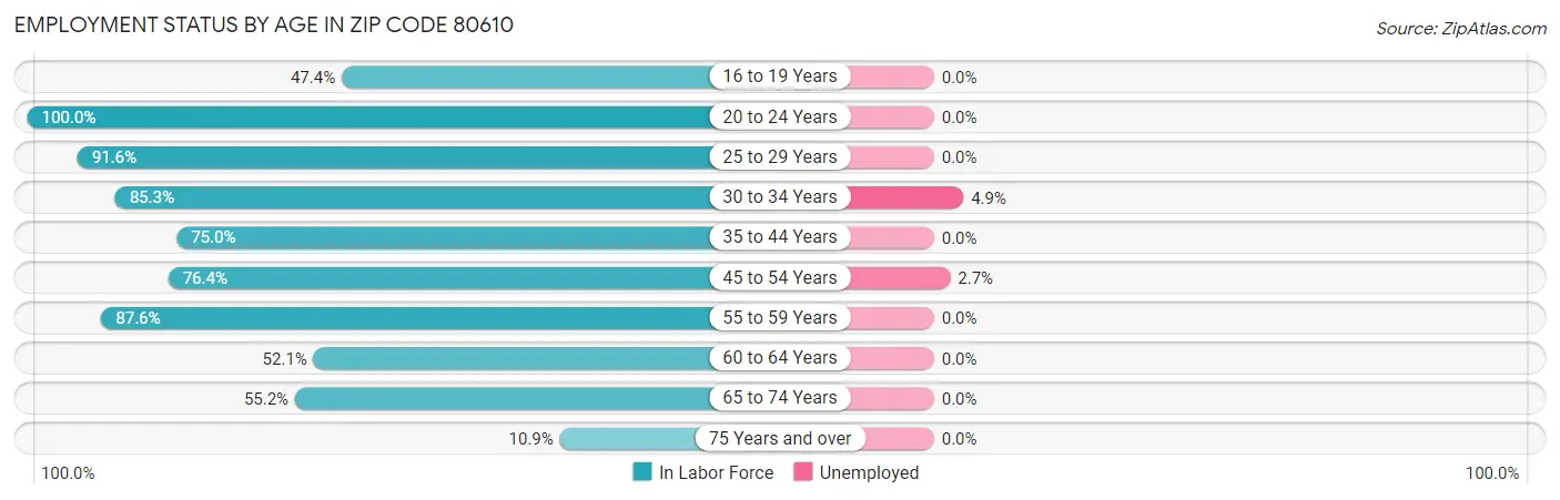 Employment Status by Age in Zip Code 80610