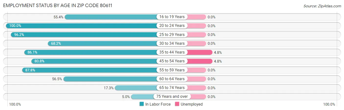 Employment Status by Age in Zip Code 80611