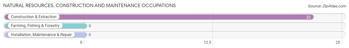 Natural Resources, Construction and Maintenance Occupations in Zip Code 80612