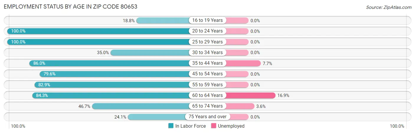 Employment Status by Age in Zip Code 80653