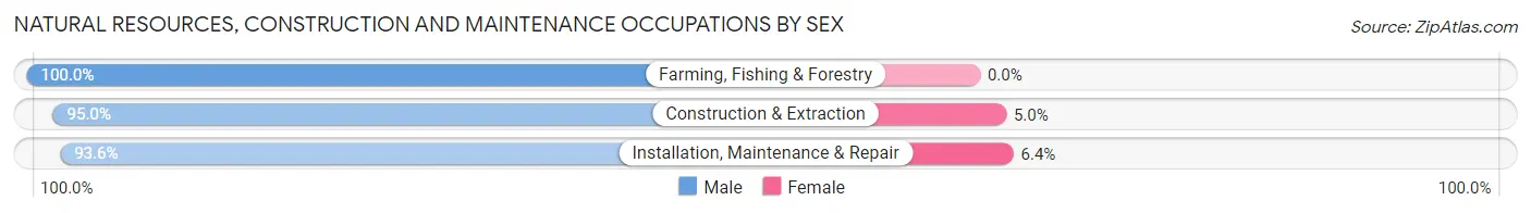 Natural Resources, Construction and Maintenance Occupations by Sex in Zip Code 80653