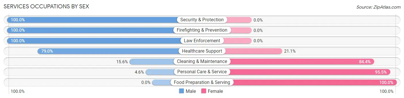 Services Occupations by Sex in Zip Code 80654