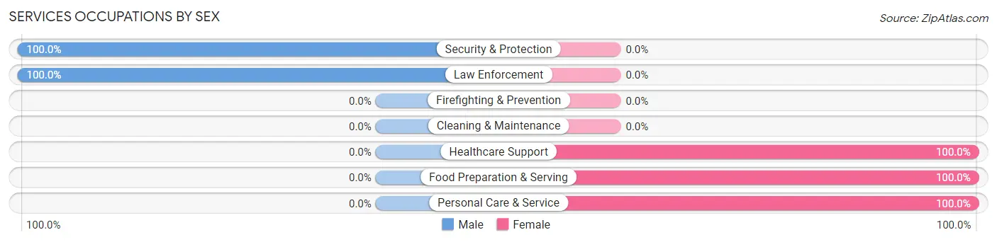 Services Occupations by Sex in Zip Code 80722