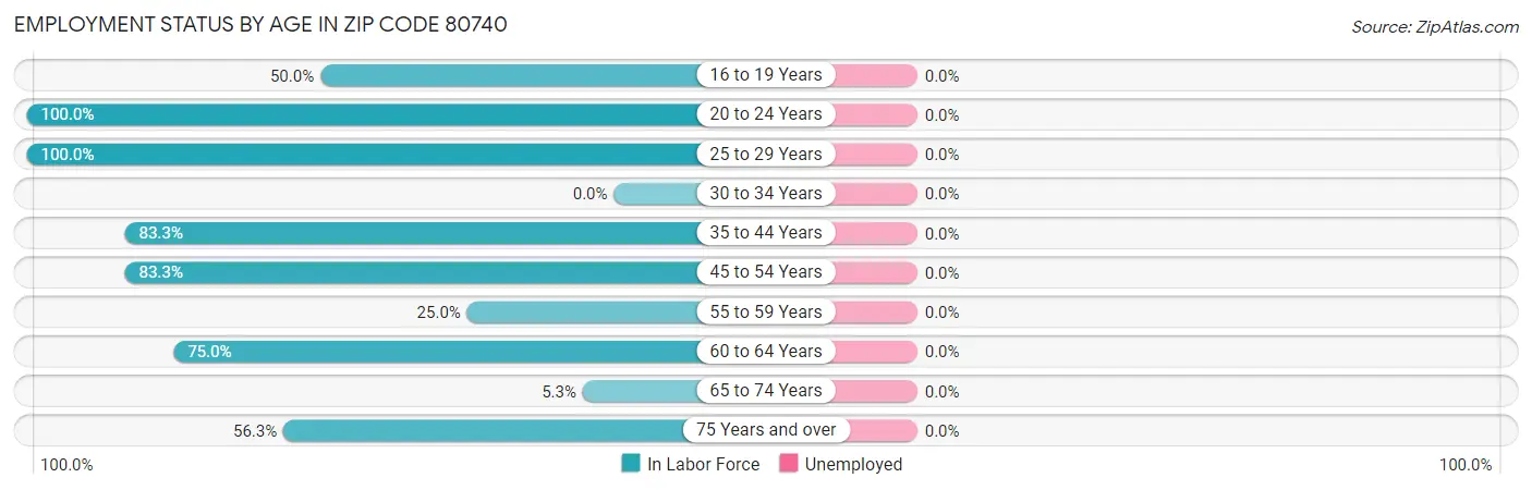 Employment Status by Age in Zip Code 80740