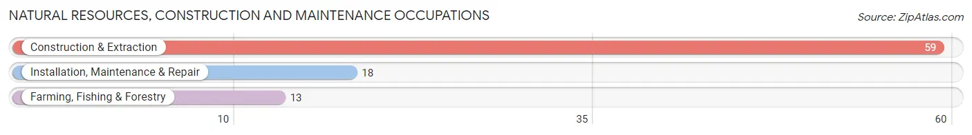 Natural Resources, Construction and Maintenance Occupations in Zip Code 80741