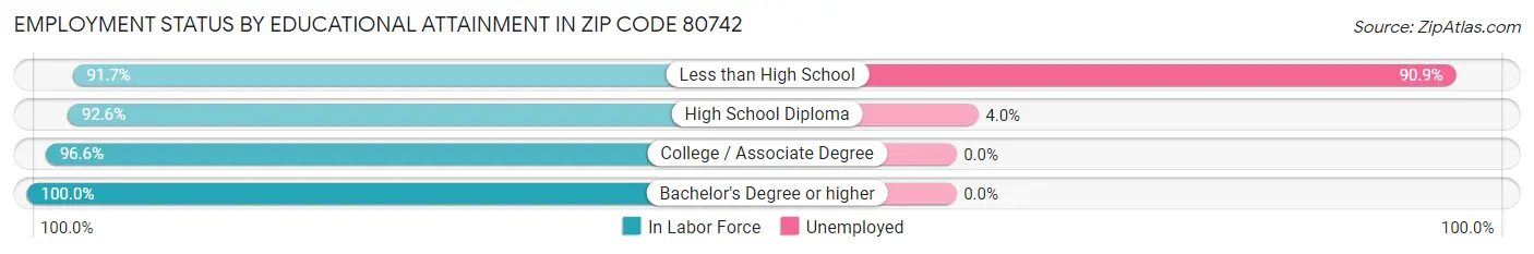 Employment Status by Educational Attainment in Zip Code 80742