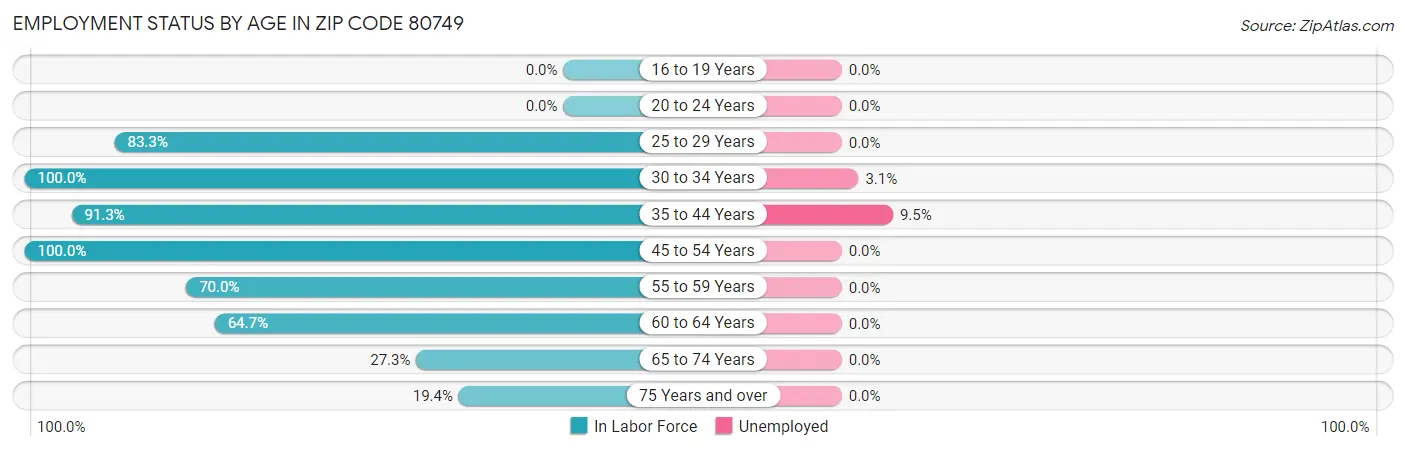 Employment Status by Age in Zip Code 80749