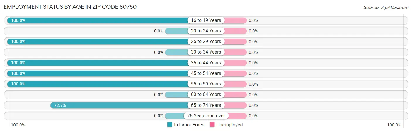 Employment Status by Age in Zip Code 80750