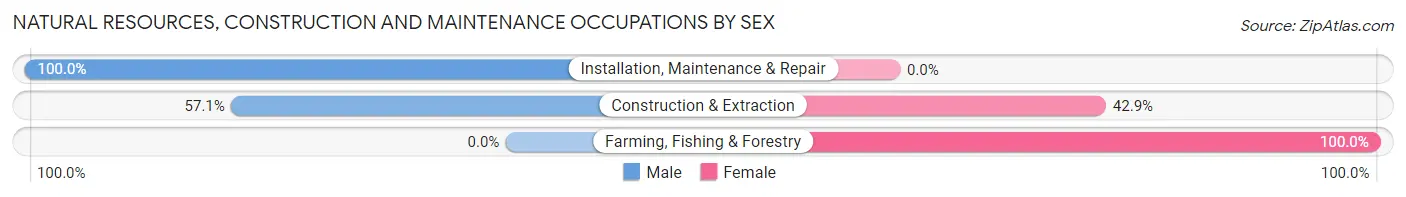 Natural Resources, Construction and Maintenance Occupations by Sex in Zip Code 80804