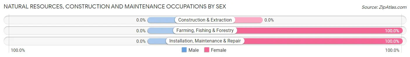 Natural Resources, Construction and Maintenance Occupations by Sex in Zip Code 80809