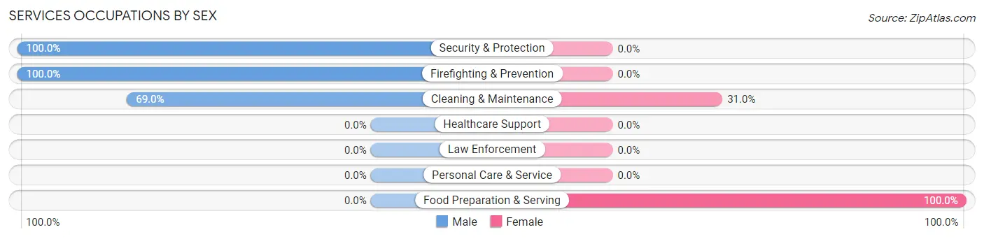 Services Occupations by Sex in Zip Code 80809