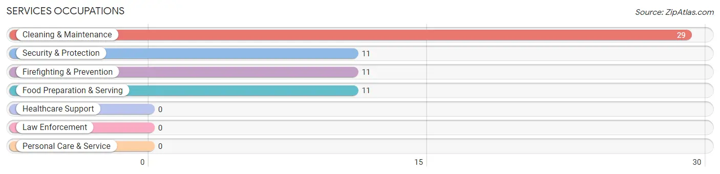 Services Occupations in Zip Code 80809